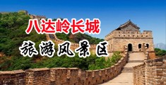 www插插插无码免费视频网站中国北京-八达岭长城旅游风景区