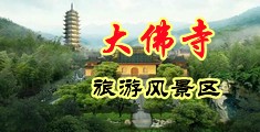 日本靠比片中国浙江-新昌大佛寺旅游风景区